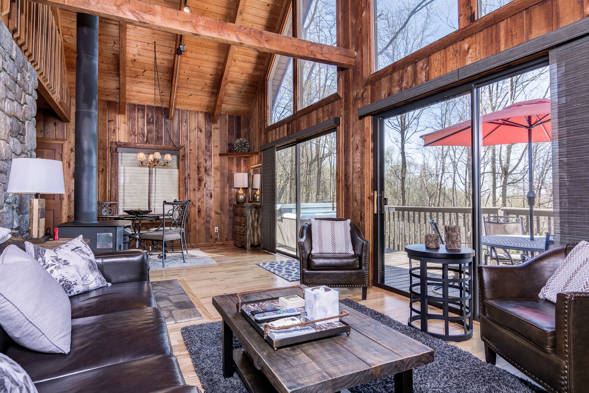 Smart TV, fireplace, DVD player, books