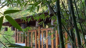 Ein modernes Holzhaus mit großen Glasfenstern, umgeben von Bambus und Grünpflanzen.