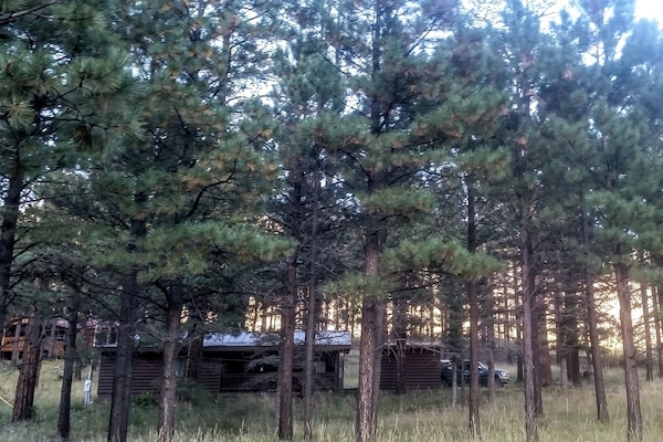 View from cement parking space.