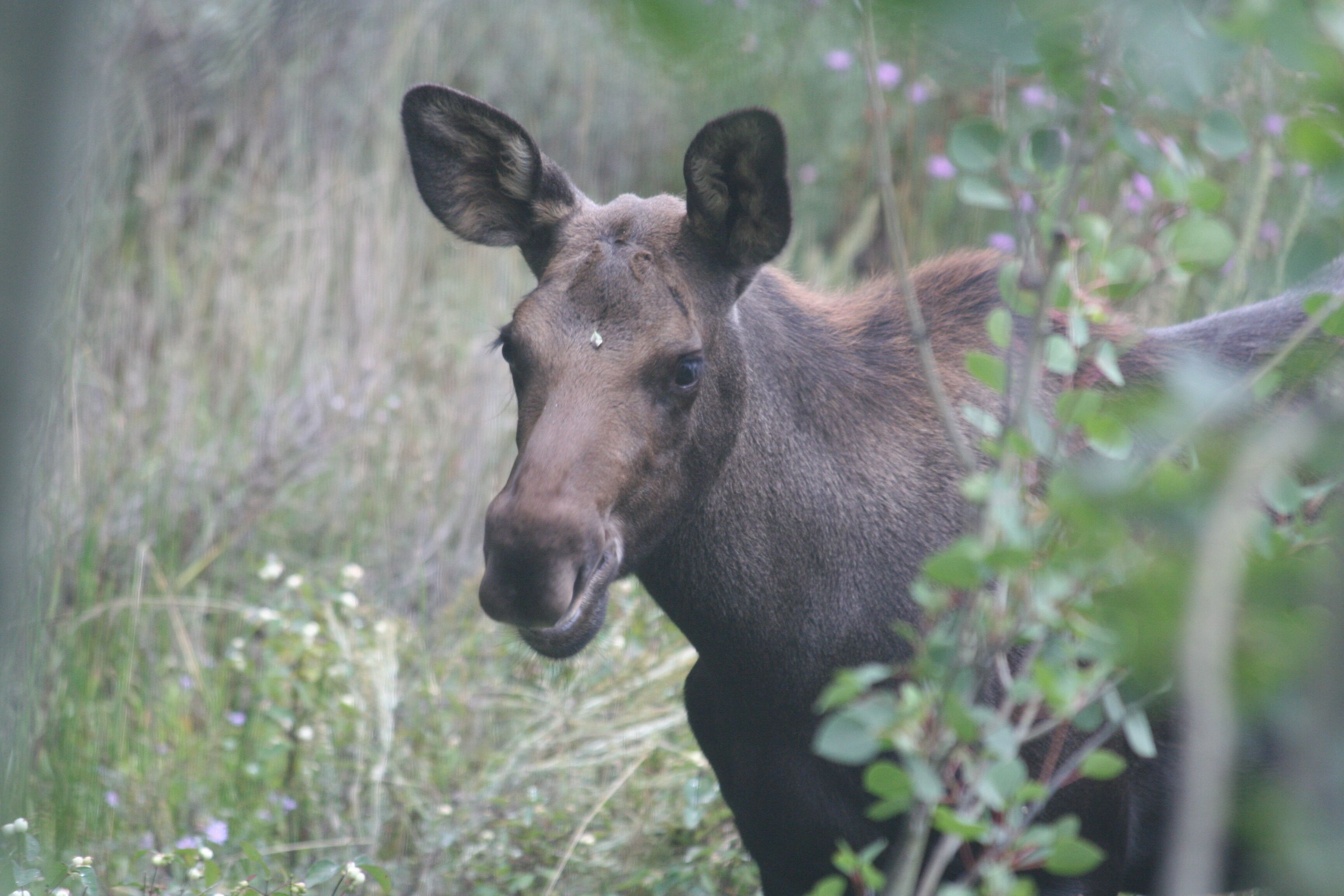 Luxury Rustic Retreat