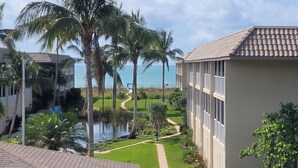 A resort with a pool, palm trees, and a view of the ocean.