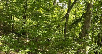 Huge Lodge, 1.5 Mi to town, Mtn Views, pets OK.