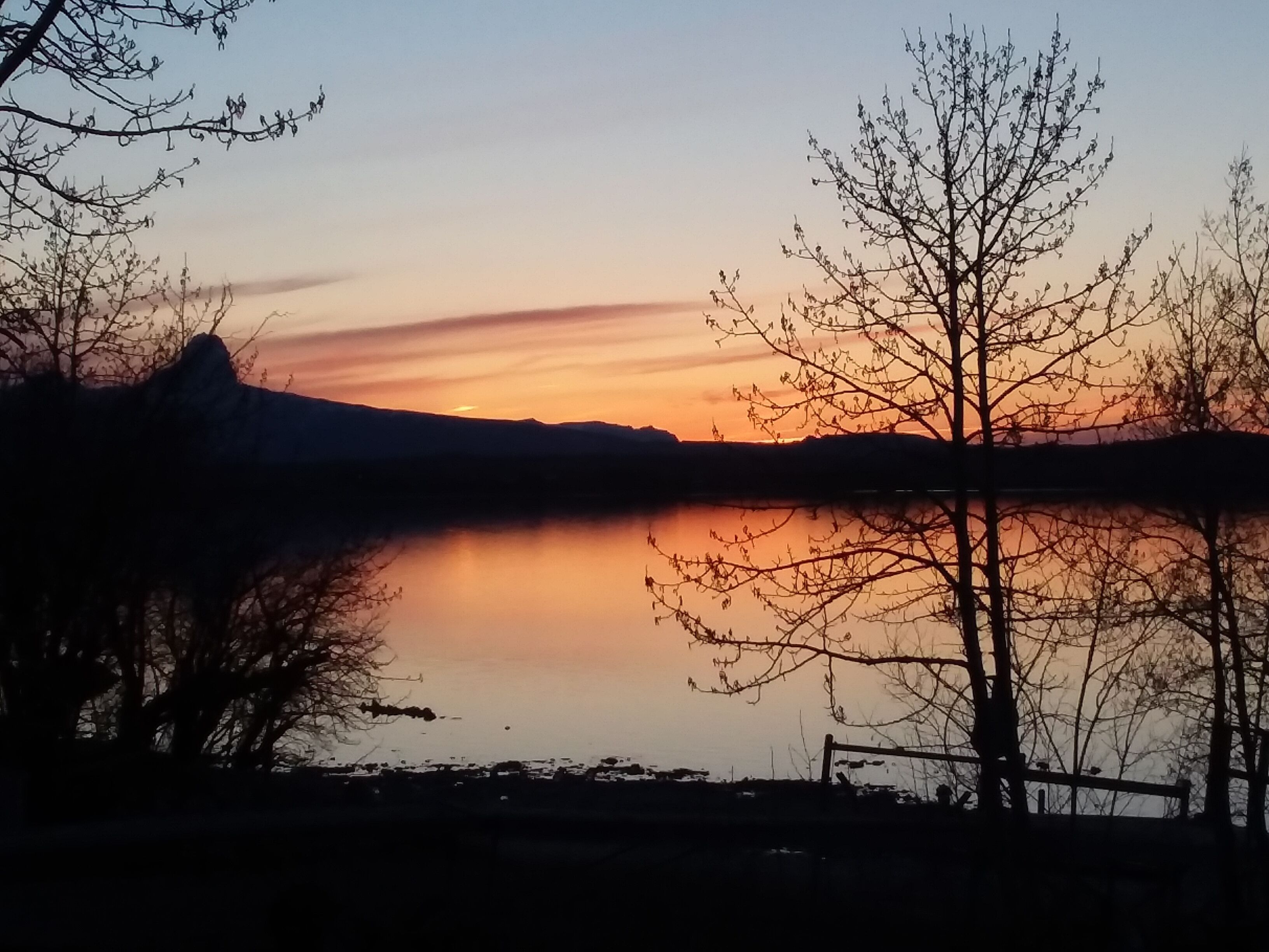 A calm lake with a sunset, trees, and a distant mountain.