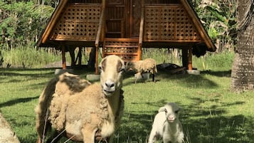 Parco della struttura