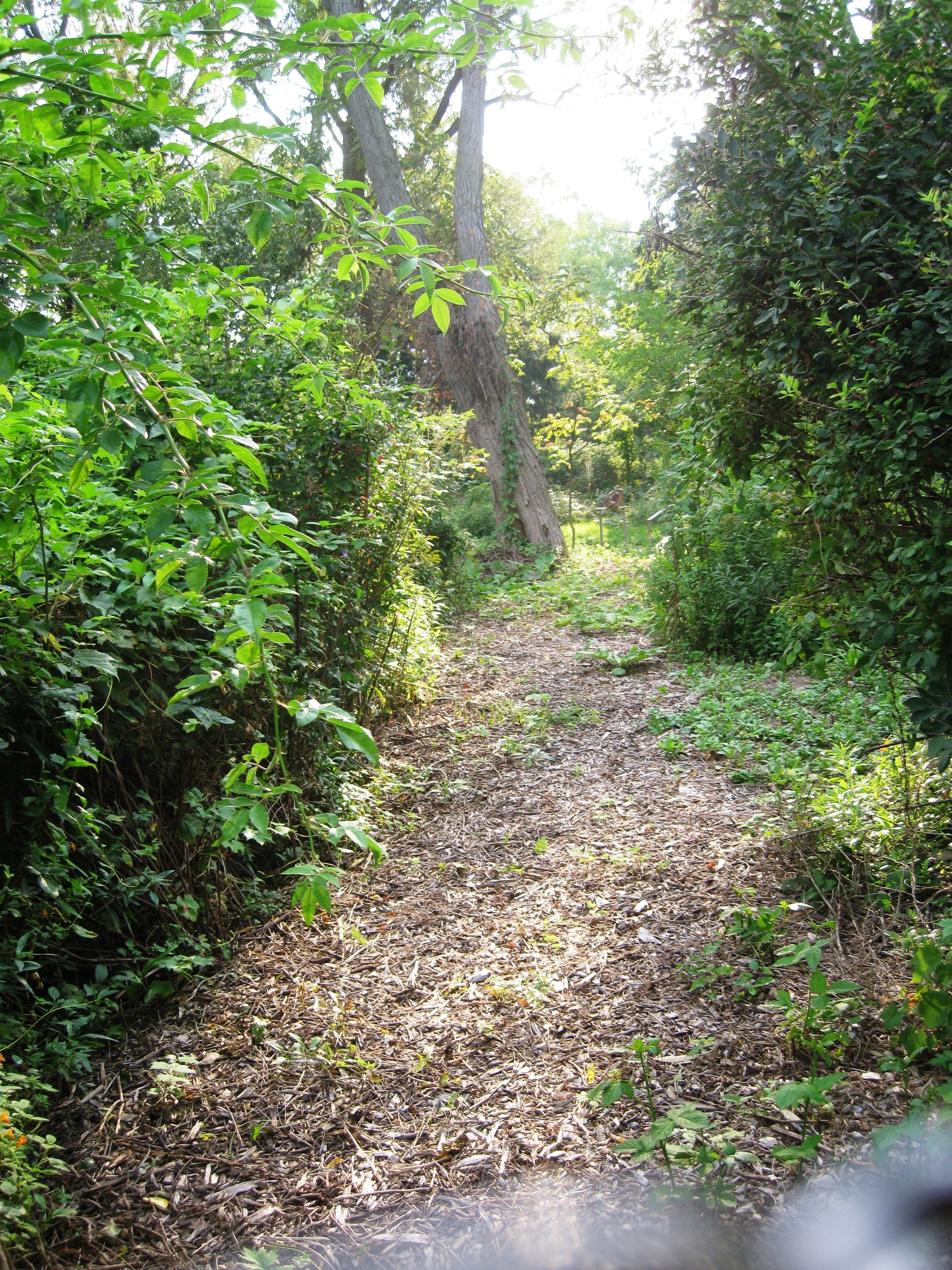 Terrain de l’hébergement 