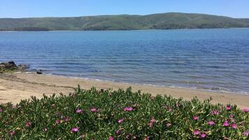Playa en los alrededores