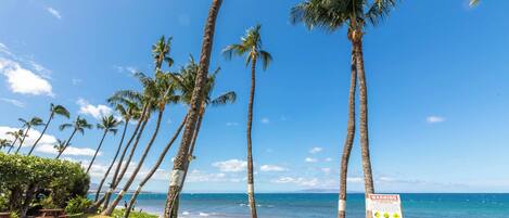 A beach with palm trees, a warning sign, and a person relaxing on a lounge chair.