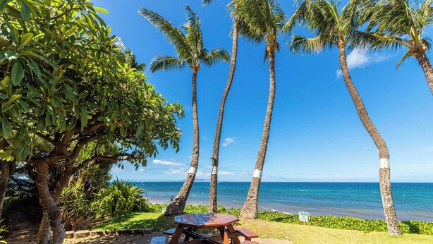 A beachside picnic area with a wooden table and benches, surrounded by palm trees and a view of the ocean.