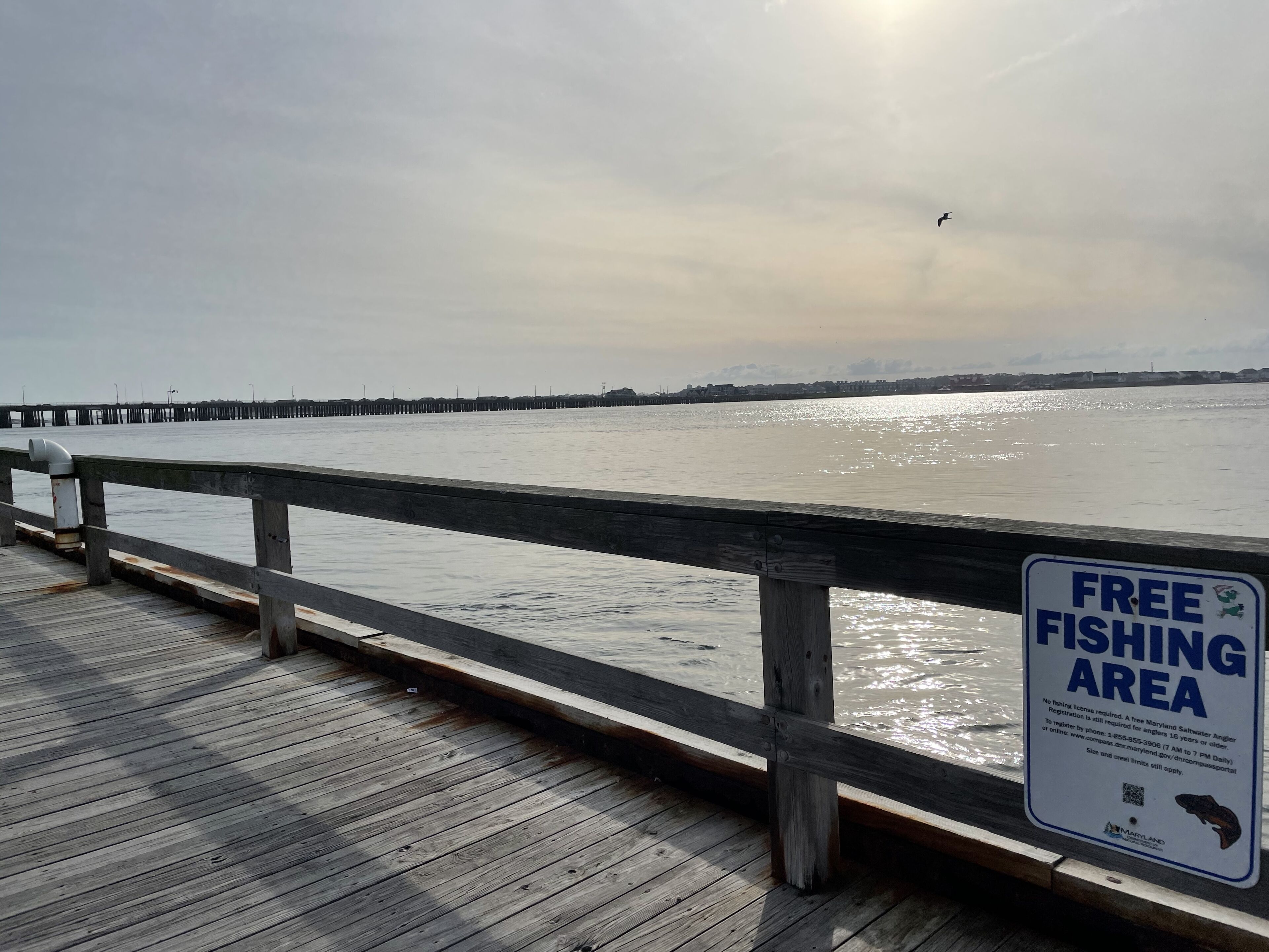 Une jetée en bois avec un panneau indiquant une zone de pêche gratuite.
