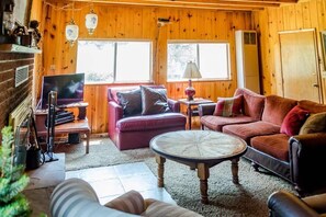 TV connectée, cheminée, lecteur de DVD