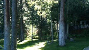 A grassy area with tall trees and a paved path. - Cozy Private Lakefront Cottage Surrounded By Lush Trees (Carnelian Bay)