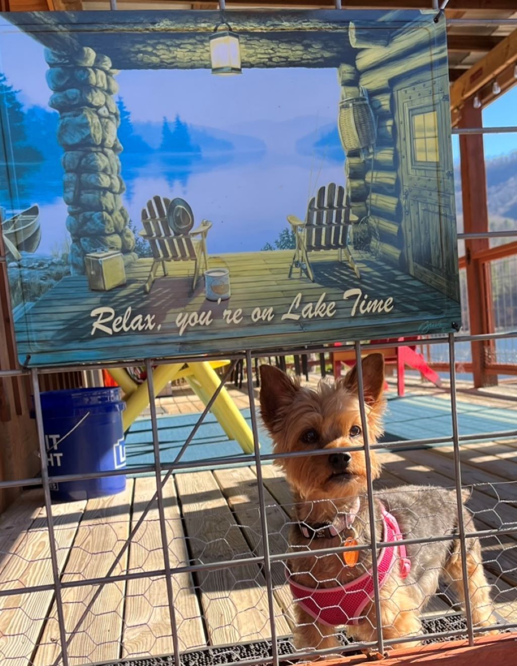 CATFISH COTTAGE-LAKE WATAUGA, TN -WATERFRONT-PRIVATE DOCK