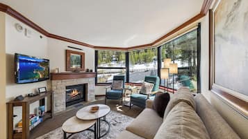 Smart TV, fireplace, DVD player, music library