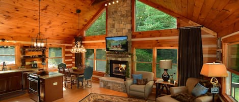 Smart TV, fireplace, Netflix, books