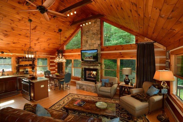 Smart TV, fireplace, Netflix, books