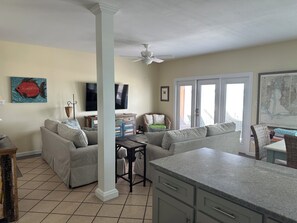 TV, DVD player, books, video library