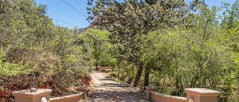 Un sendero de tierra que serpentea por una zona boscosa, con un cartel que indica las rutas 126 y 150.