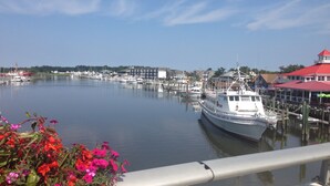 A marina with boats docked, a red-roofed building, and a clear sky. - Welcome to the iconic Pink Lady (Lewes)
