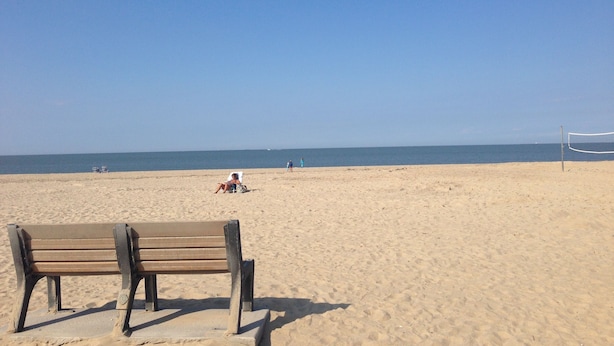 A beach with a bench and volleyball net. - Welcome to the iconic Pink Lady (Lewes)