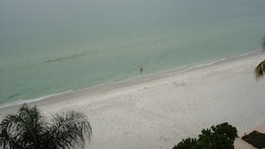 A beach with a person standing in the water, palm trees, and a clear sky.
