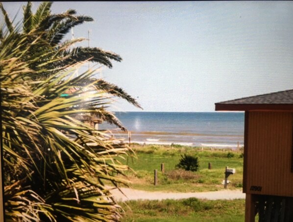 A beach view with a wooden building, a palm tree, and a mailbox.