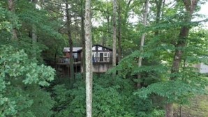 A treehouse cabin nestled among dense forest foliage. -  Lake Front Home with community boat ramp. Private,  close to marinas and town. (Somerset)