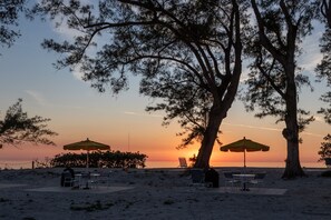 A beachside setting with two umbrellas, a table, and chairs under a large tree.