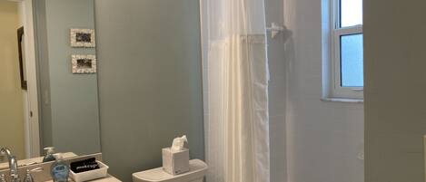 A bathroom with a toilet, sink, and shower curtain.