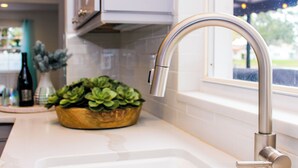 A kitchen with a stainless steel faucet, a white countertop, and a potted plant. - Lakefront Pool Home w/ Game Room, Epic View, Kayaking (Tampa)