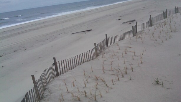 Una playa con una valla de madera y vegetación escasa.