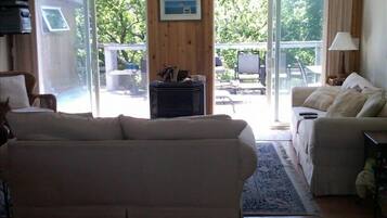 Smart TV, reproductor de DVD, libros y estéreo