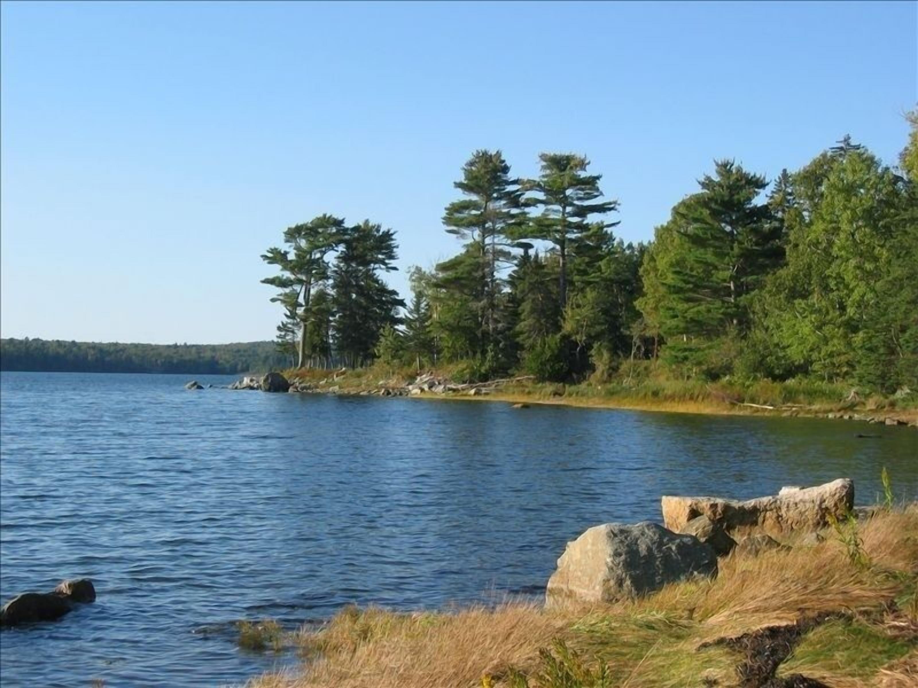 Bayside Shore Front Cottage Near Bar Harbor 