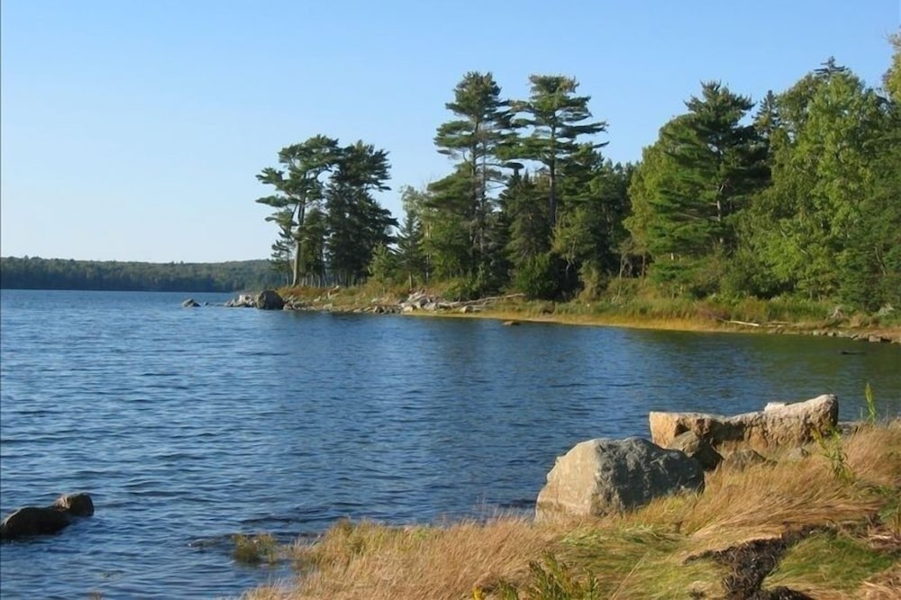 Bayside Shore Front Cottage Near Bar Harbor