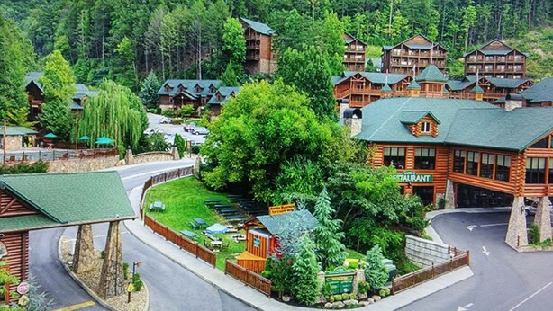 A lodge with multiple wooden buildings, a central tree, and a paved road. - 2BR with Great Mountain views Master Suite and JR suite (Gatlinburg)
