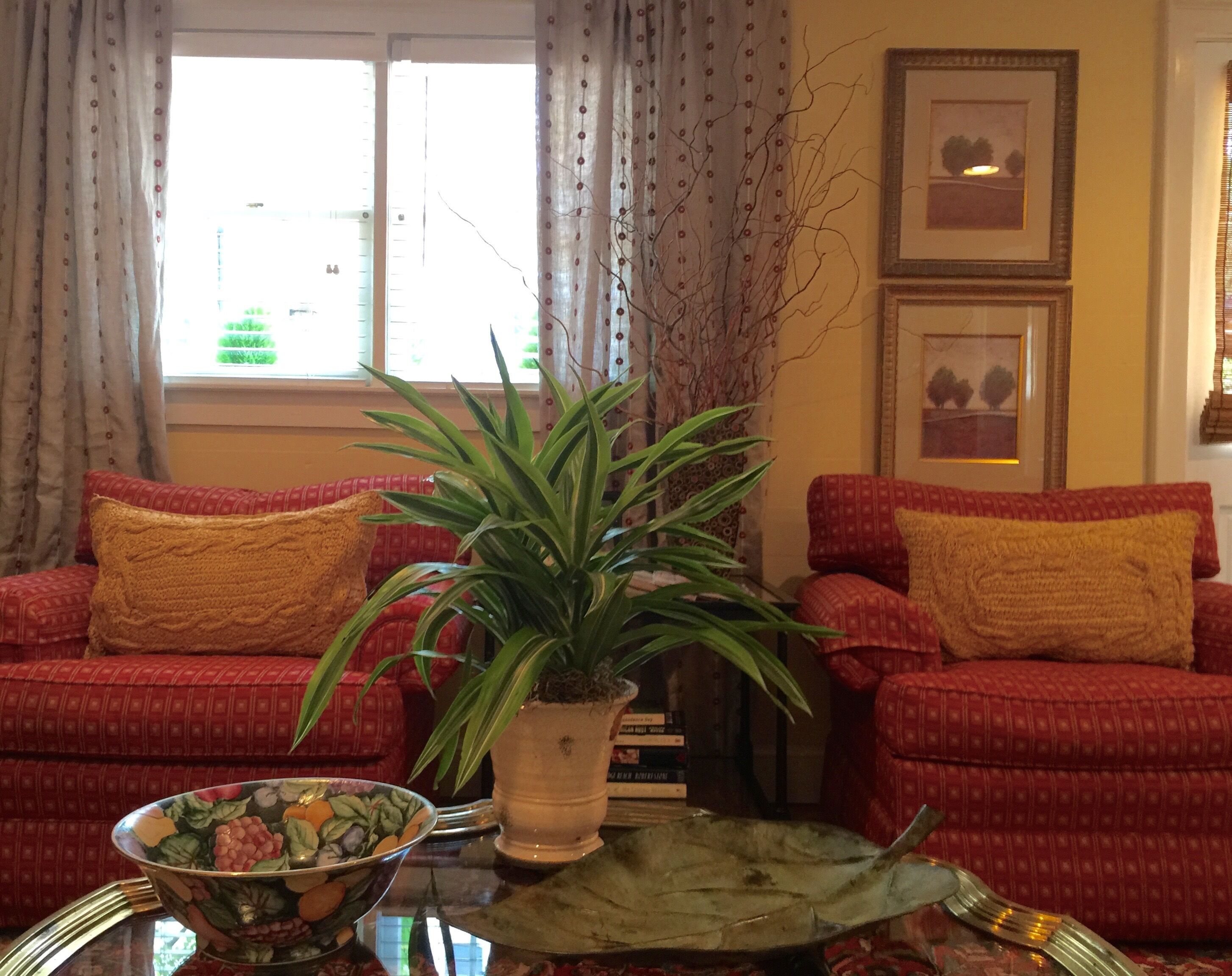 Charming Historic Guest House in the Heart of Town