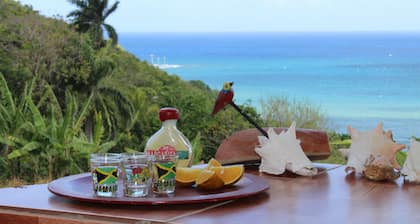 Kostenloser Transport. Private Villa mit herrlichem Meer veiw, Pool und Dienstmädchen.