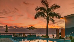 Une piscine avec des chaises longues et des parasols, un palmier et une vue sur le coucher de soleil.