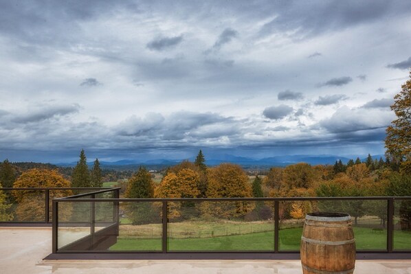 Terrace/patio - Rooftop Aerie - Amazing views, private, immaculate and comfortable home (Monroe)