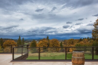 Rooftop Aerie - Amazing views, private, immaculate and comfortable home