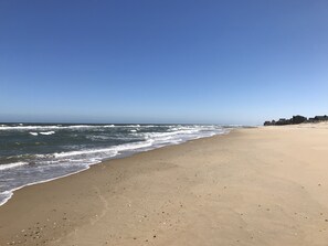 Plage, chaises longues