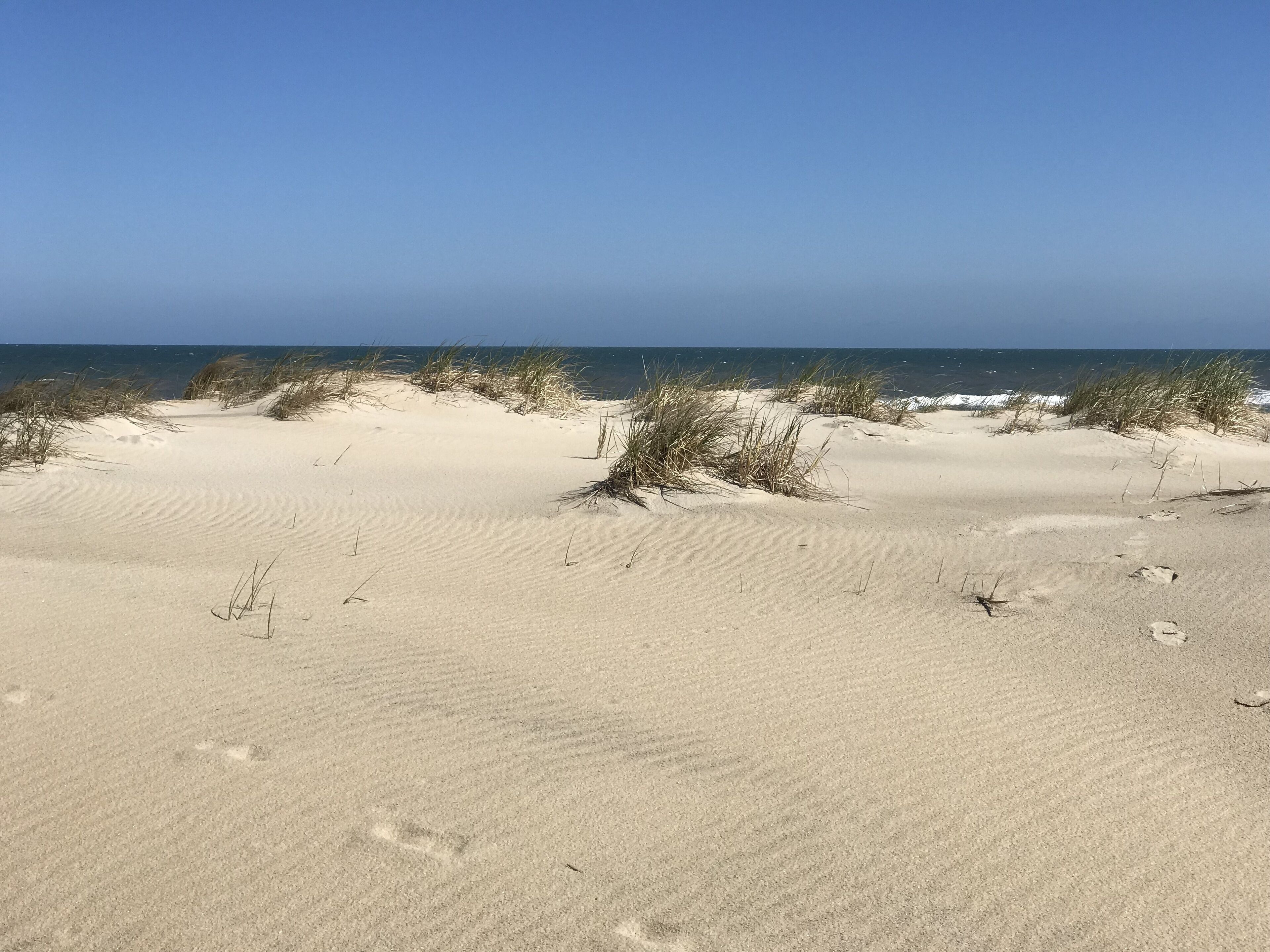 على الشاطئ، كراسي للتشمس