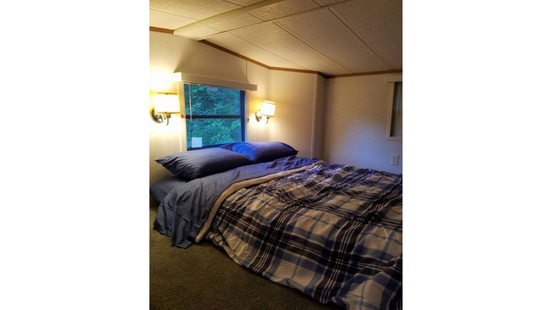 Lakeside Tiny Home Retreat ~ 2 1/2 acres ~ Breathtaking Views ~ Relax! ~