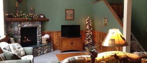 Smart TV, fireplace, DVD player, books