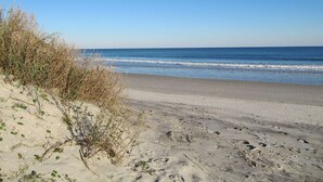 A beach with clear skies, sandy shore, and sparse vegetation.