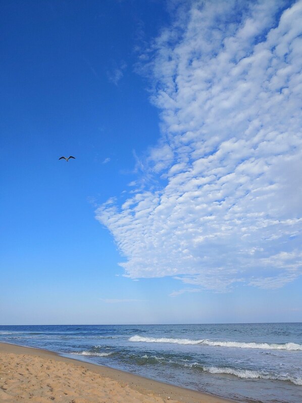 On the beach, sun loungers