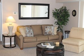 Smart TV, video games, DVD player, books