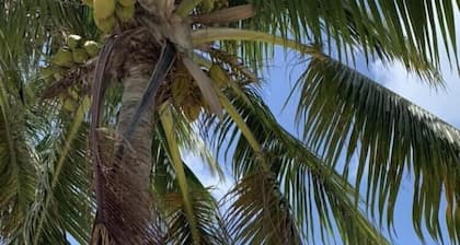 Canal de aguas profundas Frente a casa ¡Conveniente para el océano y el golfo!