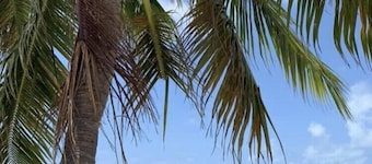 Summer Openings - Last Minute Savings! Deep Water Canal, SwimSpa Pool, Kayaks!