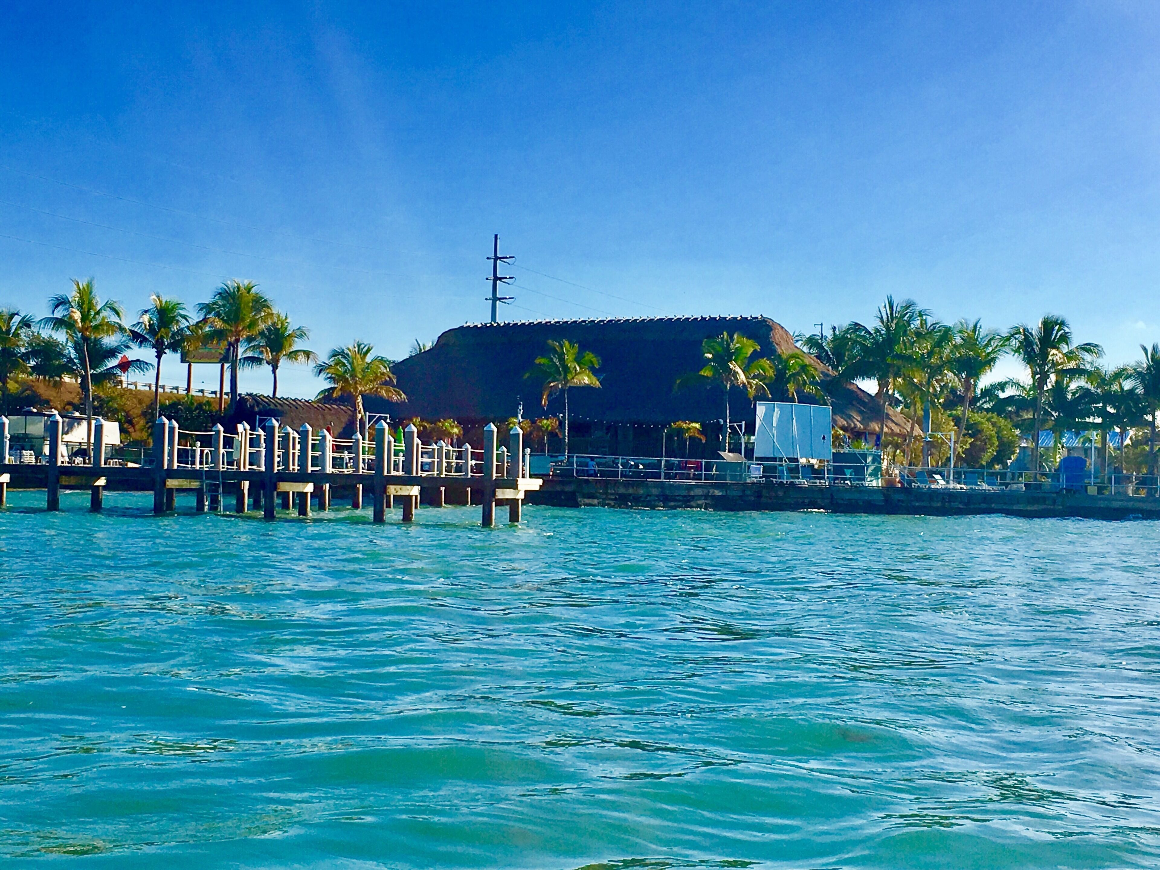 A waterfront property with a dock extending into the water, palm trees, and a building with a thatched roof.