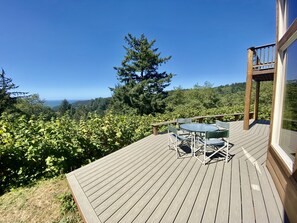 Outdoor dining - Stunning Custom Cabin in the woods; Mountain and Ocean Views! (Brookings)